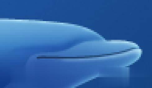 Photoshop将真实海豚照片制作成可爱的卡通海豚图片(12)