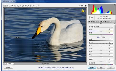 如何使用ps放大缩小快捷键(4)
