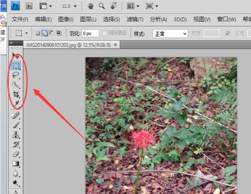 ps反选快捷键是什么(1)