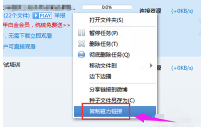 迅雷下载速度变成0怎么办