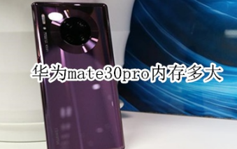 华为mate30pro内存是多少。