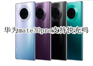华为mate30pro可以快充吗。