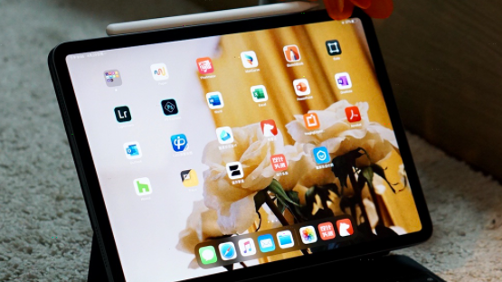 我来分享goodnotes在哪导出诊断数据 。。