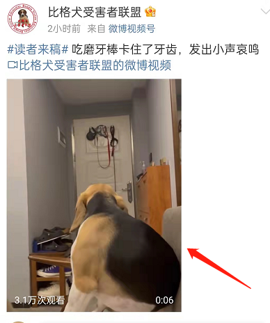 我来分享微博小视频清屏功能怎么开启 。。