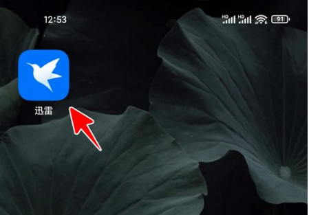 我来分享迅雷云盘如何改后缀。