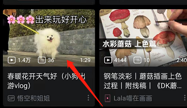 小编分享哔哩哔哩如何双击关闭弹幕。