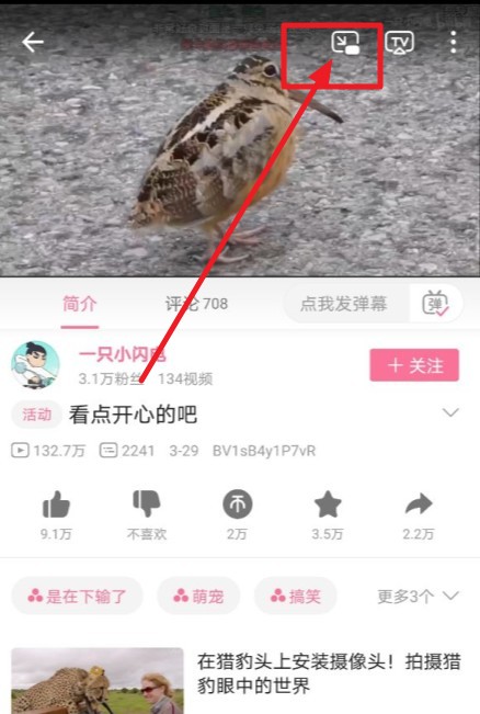 教你哔哩哔哩窗口模式怎么开。