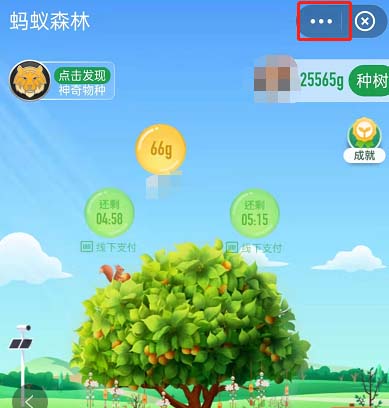 我来教你支付宝蚂蚁森林如何开启低帧率。