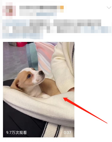 我来分享微博视频怎么合拍(微博分享视频不是链接）