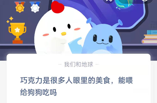 巧克力是很多人眼里的美食(巧克力是很多人眼里的美食能喂给狗狗吃吗）