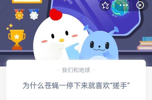 为什么苍蝇一停下来就喜欢搓手(为什么苍蝇一停下来的时候）