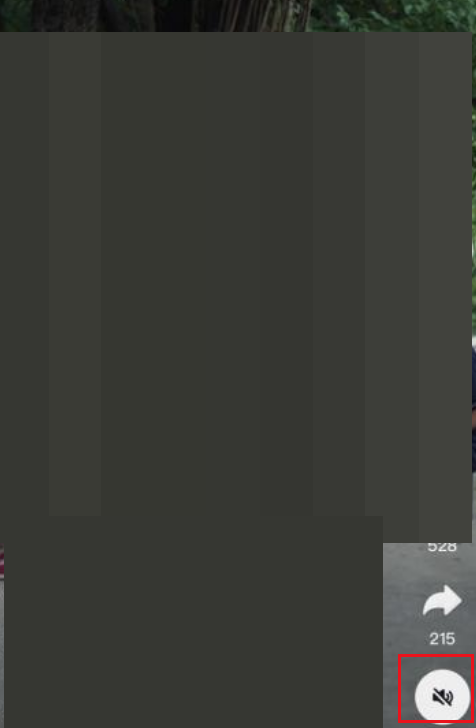 抖音打开时静音怎么取消(抖音打开时静音怎么取消）