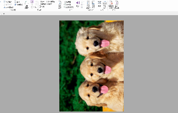 分享怎么使用福昕PDF编辑器给PDF文件旋转视图