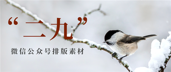 小编教你135编辑器二九排版素材推荐！二九图文模板介绍