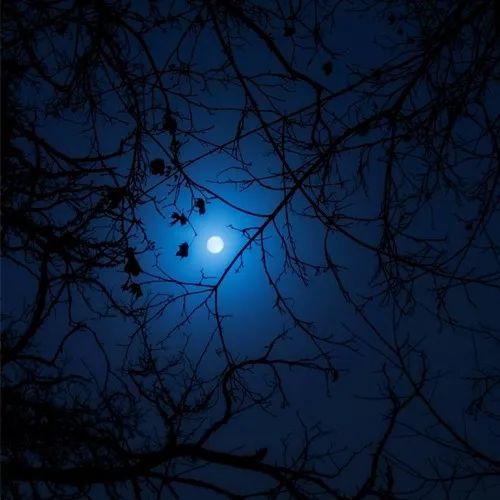 分享2020最流行微信头像：成熟稳重的男生头像大全！