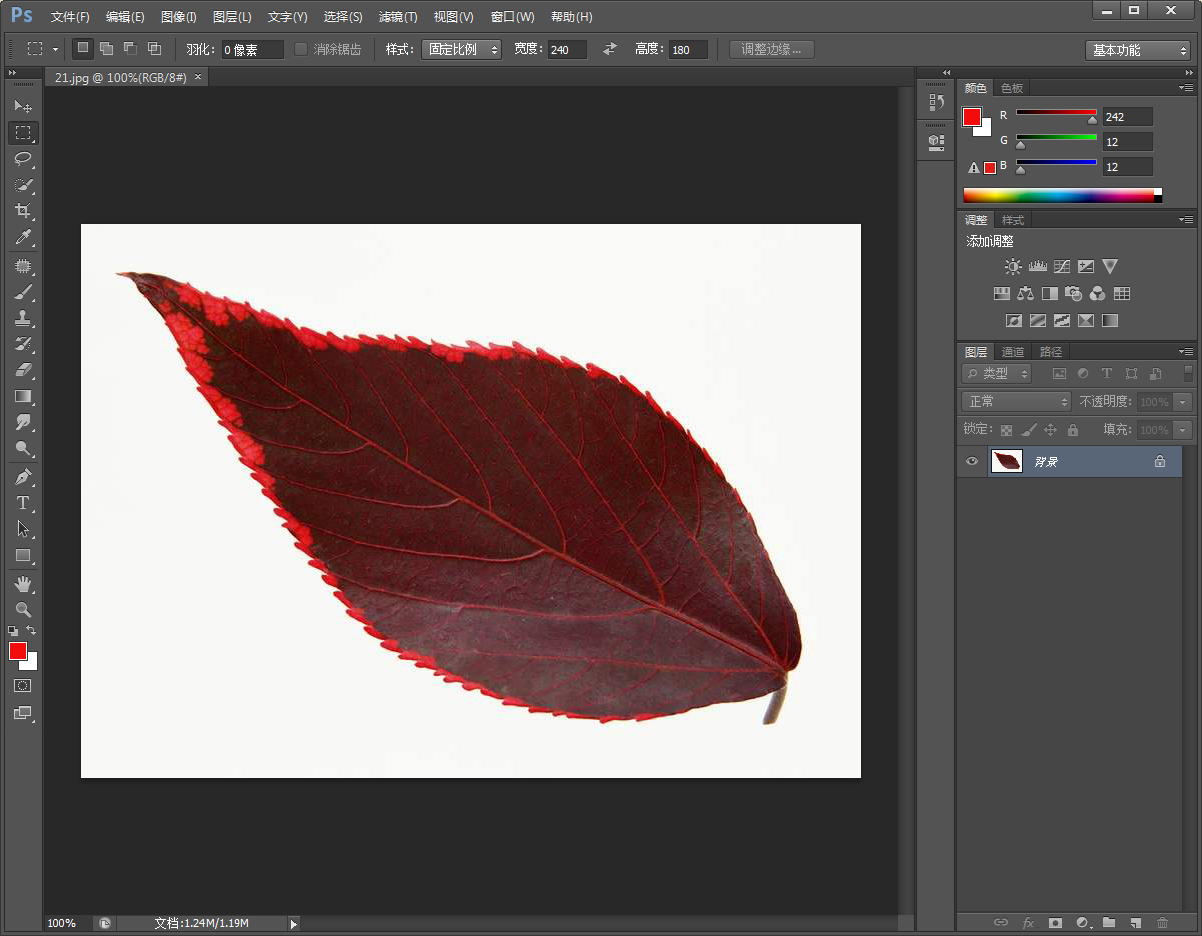 小编教你PS如何给图片描边（ps如何给图片描边快捷键）