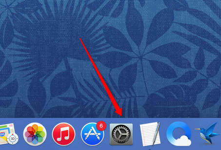 MacOS如何修改默认输入法？MacOS设置默认输入法的方法