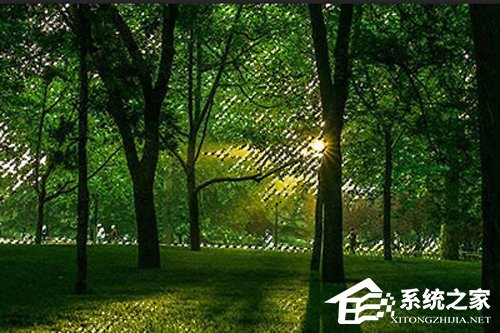 小编教你PS树林透光效果怎么做