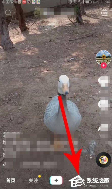 我来分享如何创建抖音群聊