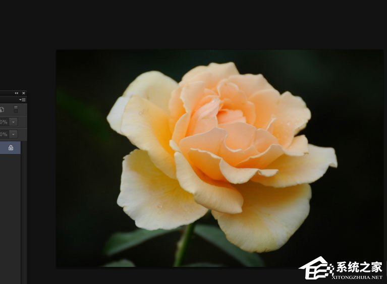 教你Photoshop中怎么使用抓手工具