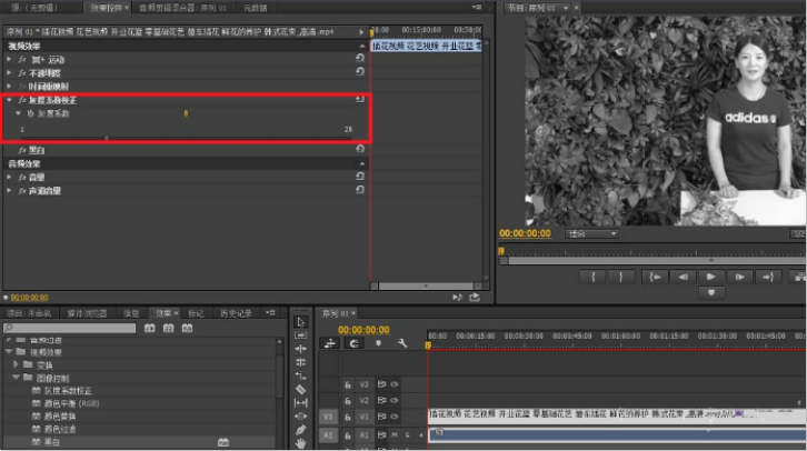 Premiere怎么将视频色彩调成黑白色 Premiere将彩色视频黑白化的教程