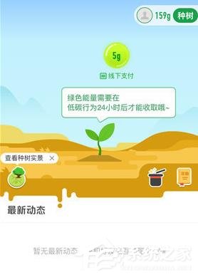 分享支付宝怎么在线上查看种树