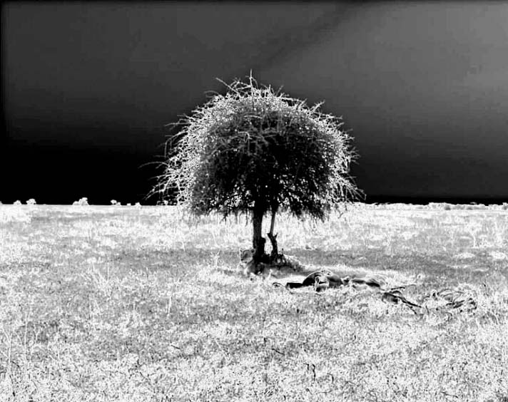 小编教你Premiere制作垂直定格效果和提取效果操作方法