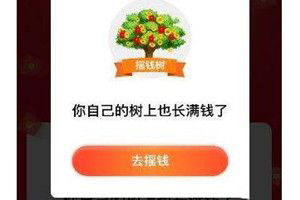 我来教你拼多多app摇钱树怎么参与（拼多多摇钱树技巧）