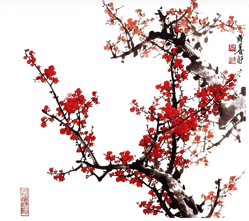 教你PS如何使用通道抠梅花