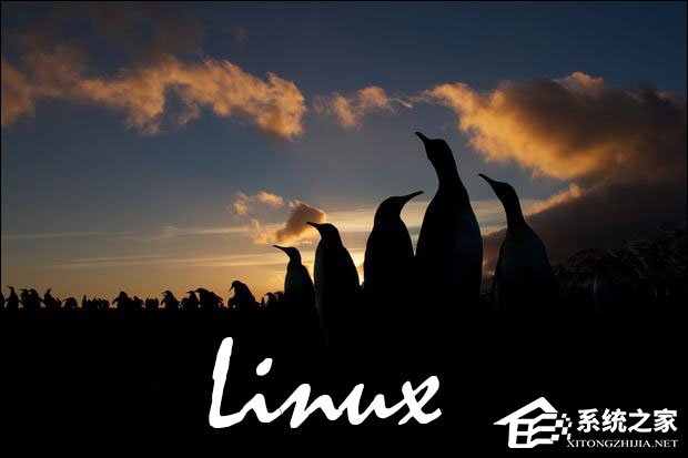 我来分享Linux操作系统为何如此深得人心