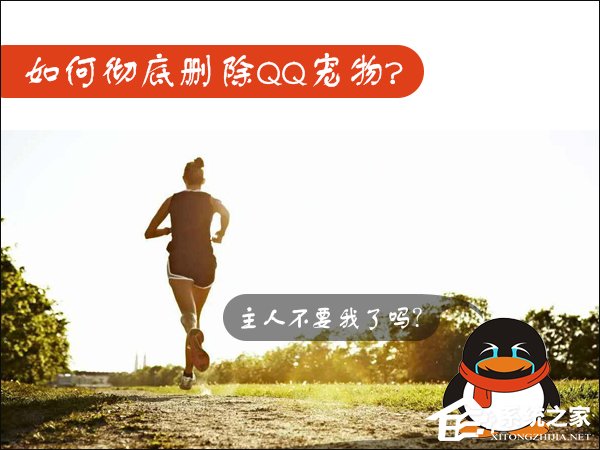 我来教你Win7如何卸载QQ宠物（如何卸载qq宠物程序）