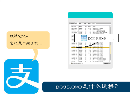 我来教你pcas.exe是什么进程