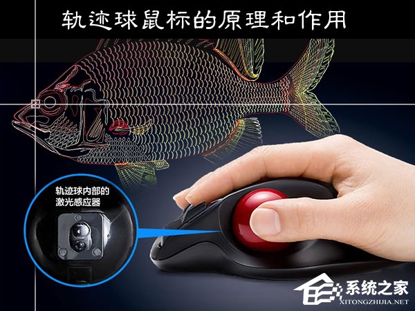 我来教你轨迹球鼠标好用吗