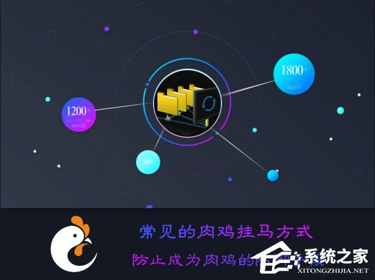 小编分享什么是肉鸡