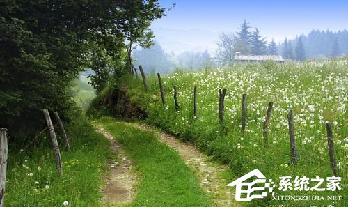 分享如何解决Win7开机后桌面什么都没有的问题