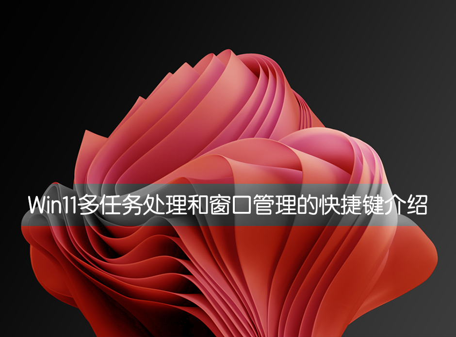 小编教你Win11多任务处理和窗口管理的快捷键介绍