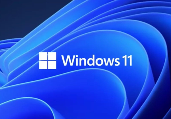 分享Win11的更新文件在哪里（Win11系统更新文件在哪）