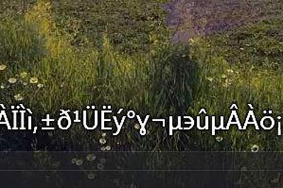 分享完美解码字幕导入乱码怎么办