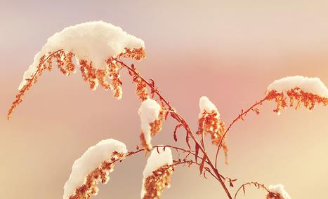 我来教你2018朋友圈立冬心情图分享（立冬朋友圈心情说说）