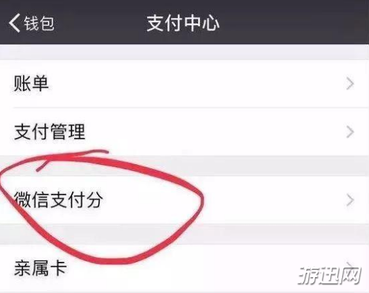 我来教你微信支付分是什么