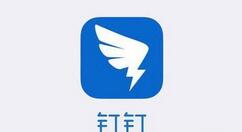 我来分享钉钉设置密聊操作流程