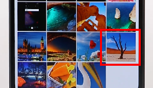 无他相机加文字图文操作