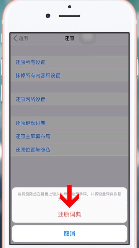 苹果手机中清除输入法记忆具体操作方法