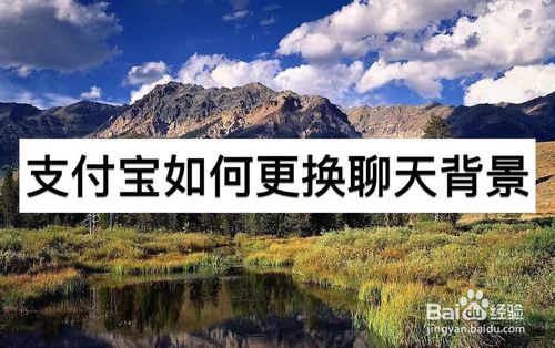 教你支付宝怎么换聊天背景。