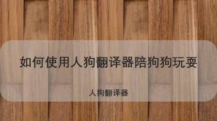 教你怎么使用人狗翻译器陪狗狗玩耍。