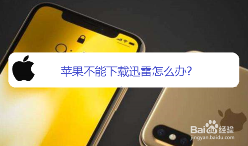 分享苹果不能下载迅雷如何解决。