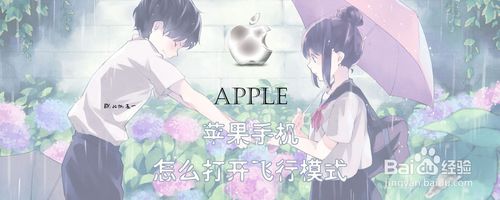 小编分享苹果手机如何打开飞行模式。