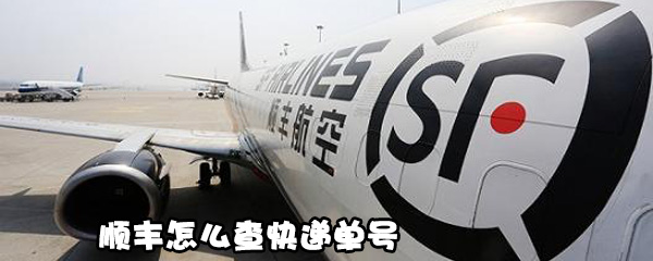 我来教你顺丰如何查快递单号。