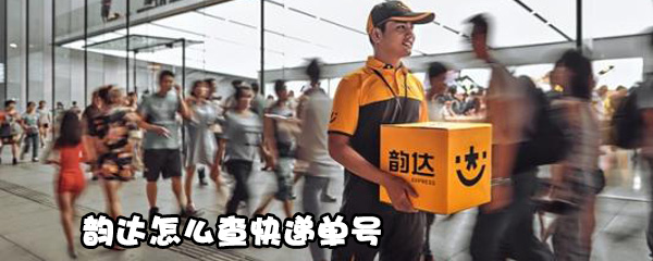 小编教你韵达如何查快递单号。