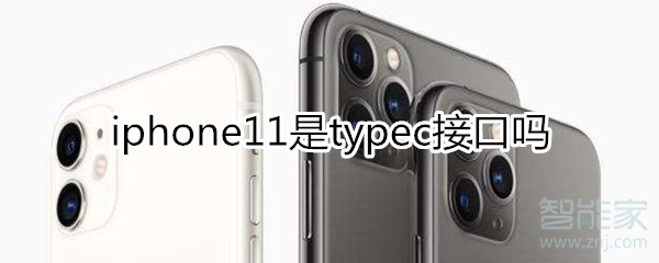 我来教你iphone11是不是typec接口。